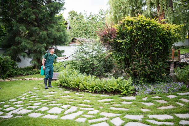 Best Pest Inspection Near Me  in Brookhaven, GA