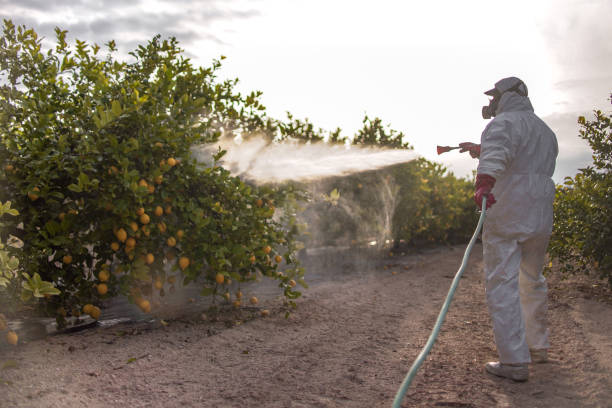 Best Local Pest Control Services  in Brookhaven, GA