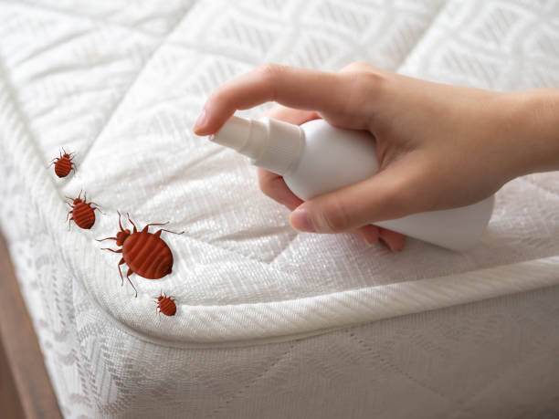Best Insect Control  in Brookhaven, GA